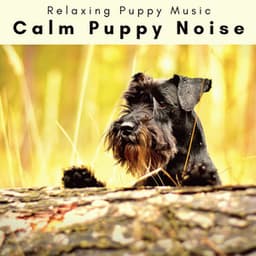 1 Calm Puppy Noise - Relaxing Puppy Music