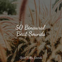 50 Binaural Beat Sounds - Natureza Musica Bem-Estar Academia
