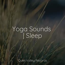 Yoga Sounds | Sleep - Música Zen Relaxante