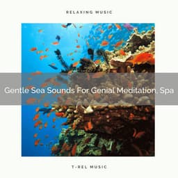 Gentle Sea Sounds For Genial Meditation, Spa - Perfect Meditation