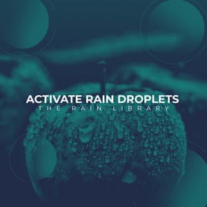 Activate Rain Droplets - The Rain Library