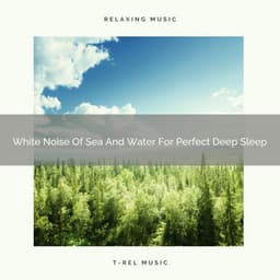White Noise Of Sea And Water For Perfect Deep Sleep - Sleep Dimension