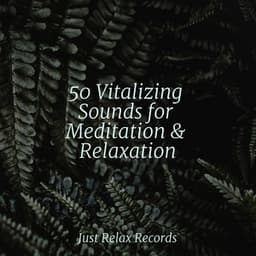 50 Vitalizing Sounds for Meditation & Relaxation - Thunderstorm Sound Bank