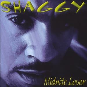 Midnite Lover - Shaggy