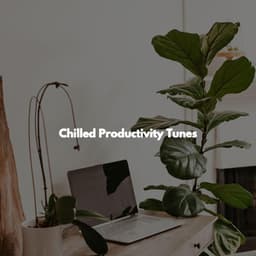Chilled Productivity Tunes - Office Work Music