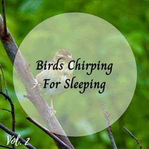 Birds Chirping For Sleeping Vol. 2 - Nature Sounds Nature Music