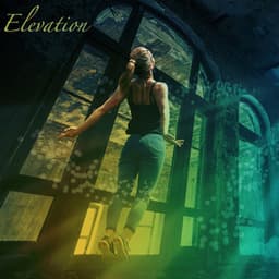 Elevation - New Years Party