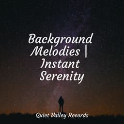 Background Melodies | Instant Serenity - Sampling XL