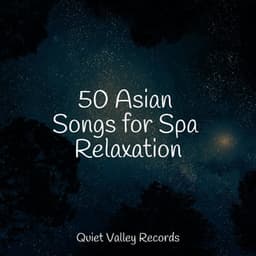50 Asian Songs for Spa Relaxation - Tinnitus Aid