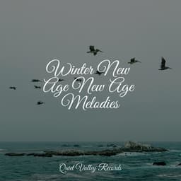 Winter New Age New Age Melodies - Tailormade Ocean Waves