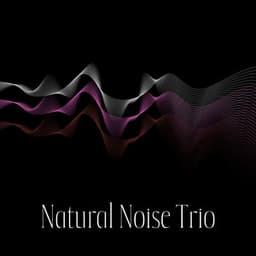Natural Noise Trio: Improved Focus Brown Noise, Deeper Sleep Pink Noise, Ultimate Relaxation White Noise - Natural Zen Meditation White Noise