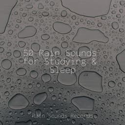 50 Rain Sounds for Studying & Sleep - Rain Sounds & White Noise