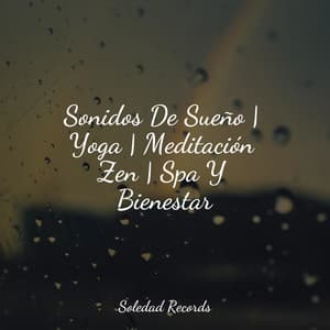 Sonidos De Sueño | Yoga | Meditación Zen | Spa Y Bienestar - Canciones de Cuna para Bebés Acadèmico