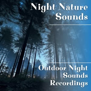 Outdoor Night Sounds Recordings - Night Nature Sounds