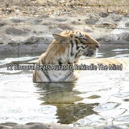 12 Binaural Beats Auras To Rekindle The Mind - Binaural Institute