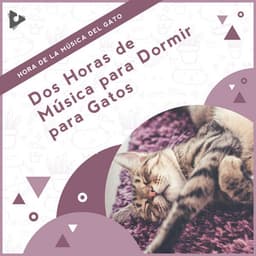 2 Horas de Música para Dormir para Gatos - Hora de la Música del Gato