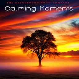 Calming Moments - The Background Noise Company