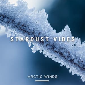 Arctic Winds - Stardust Vibes