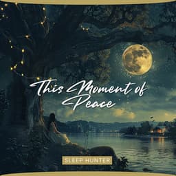 This Moment of Peace - Sleep Hunter