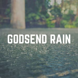 Godsend Rain - Rainfall