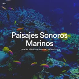 #01 Paisajes Sonoros Marinos para Ser Más Consciente de Los Sentidos - Olas del Mar