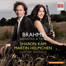 Brahms: Sonatas & Trios - Johannes Brahms