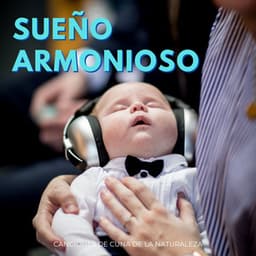 Sueño Armonioso: Canciones De Cuna De La Naturaleza - Investigación de sonidos de la naturaleza
