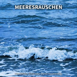Meeresrauschen zum Schlafen, Entspannen und zur Konzentration - Meeresgeräusche