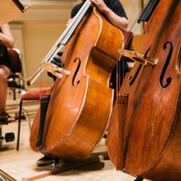 Slumber Orchestra: Relaxing Symphonic Melodies - Eloy Perez