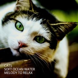 Cats: Soft Ocean Water Melody To Relax - Hang Drum Music