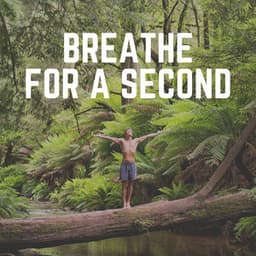Breathe for a Second - Zen Garden Secrets