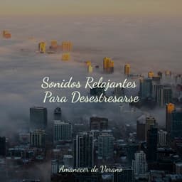 Sonidos Relajantes Para Desestresarse - kinderliedjes