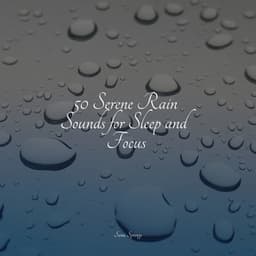 50 Serene Rain Sounds for Sleep and Focus - Music to Relax in Free Time