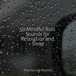 50 Mindful Rain Sounds for Relaxation and Sleep - Ocean Waves For Sleep