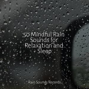 50 Mindful Rain Sounds for Relaxation and Sleep - Ocean Waves For Sleep