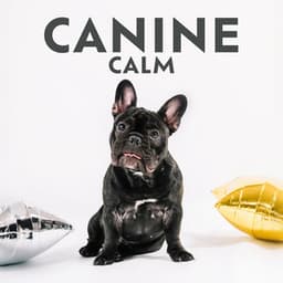 Canine Calm: Pet Hz Therapy for Anxiety Relief, Harmony and Peace, Animal Reiki - John Hz Doctor