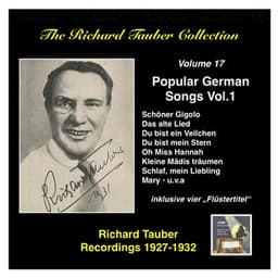 The Richard Tauber Collection, Vol. 17: Popular German Songs, Vol.1 - Richard Tauber