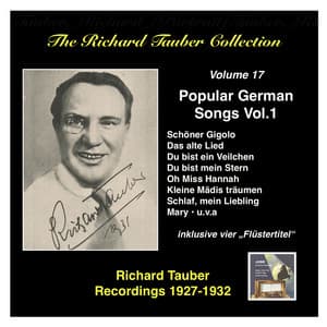 The Richard Tauber Collection, Vol. 17: Popular German Songs, Vol.1 - Richard Tauber