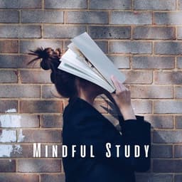 Mindful Study: Ambient Music for Intense Study Hour - Acoustic Study Music Playlists