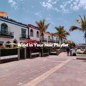 Wind in Your Hair Playlist - Calm Instrumental Jazz