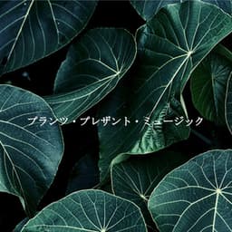 プランツ・プレザント・ミュージック - Music for Focus