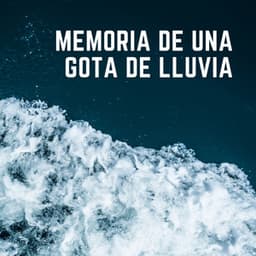 Memoria De Una Gota De Lluvia - Noche Nublada