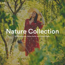#01 Nature Collection for Mindfulness, Stress Relief and Virtual Reality - Weather and Nature Recordings