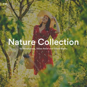 #01 Nature Collection for Mindfulness, Stress Relief and Virtual Reality - Weather and Nature Recordings