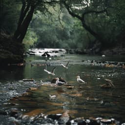 Serene Binaural Meditation with Nature Birds and Creek - Touch of Spades