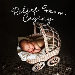 Relief From Crying - Máire - Marie Anderson
