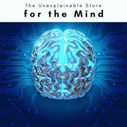 1 for the Mind - The Unexplainable Store