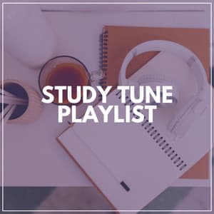 Study Tune Playlist - Concentration
