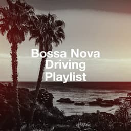 Bossa Nova Driving Playlist - The Cocktail Lounge Players