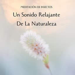 Meditación De Insectos: Un Sonido Relajante De La Naturaleza - Grabaciones de campo de la naturaleza